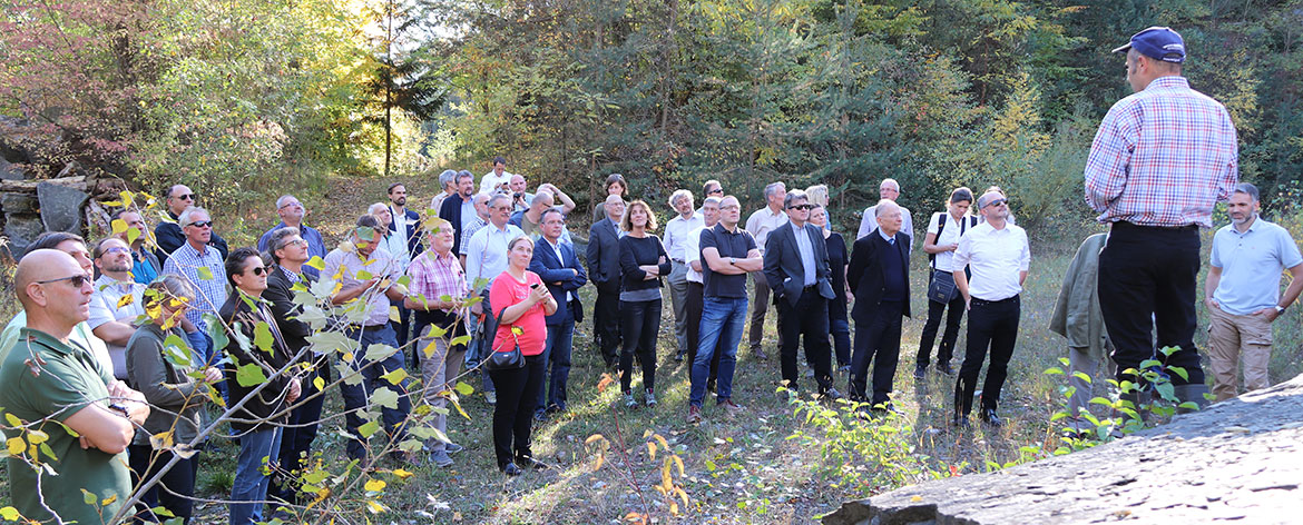 Exkursion zum Steinbruch Spitz an der Donau