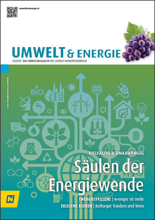 Cover UMWELT & energie 03/2025